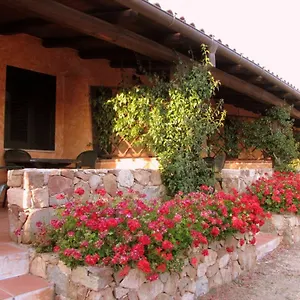 Lu Branu Villa Arzachena